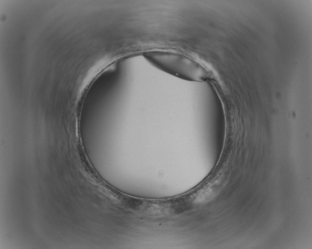 X0000074231365200609151636