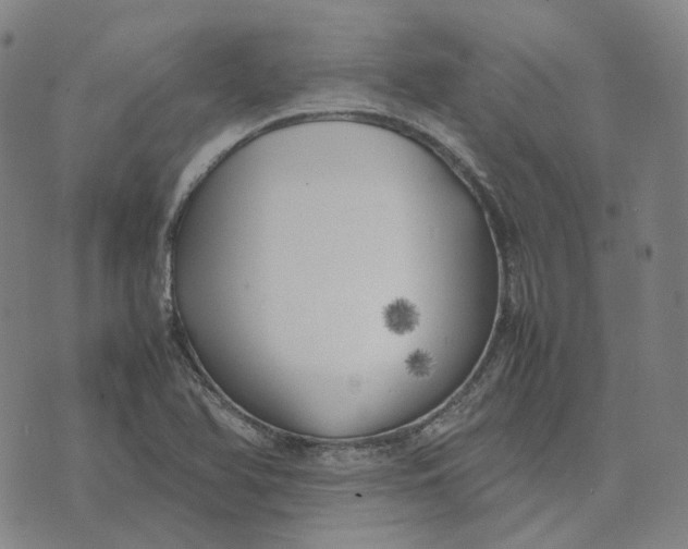 X0000074231366200609151636