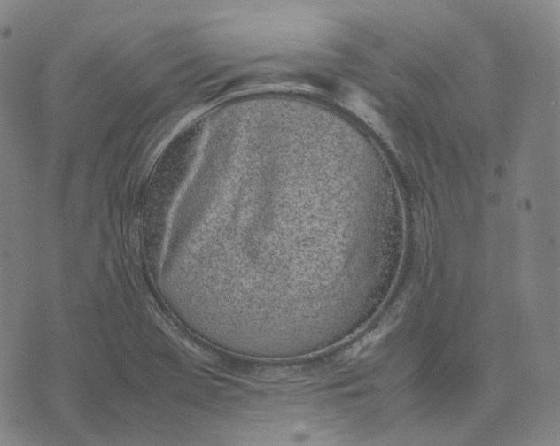 X0000074231369200609151635