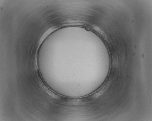 X0000074231370200609151635