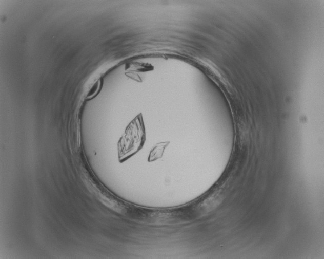 X0000074231371200609151635