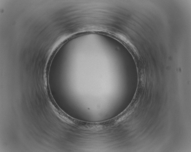 X0000074231372200609151635