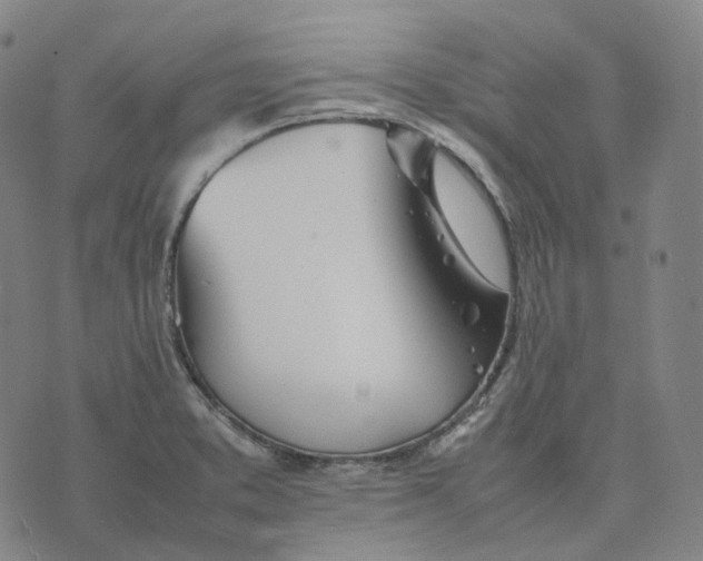 X0000074231373200609151635