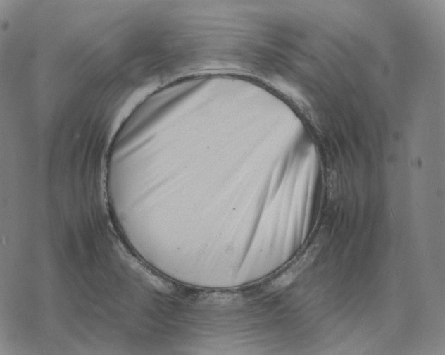 X0000074231374200609151635