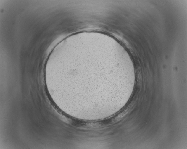 X0000074231375200609151635