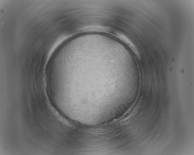 X0000074231376200609151635