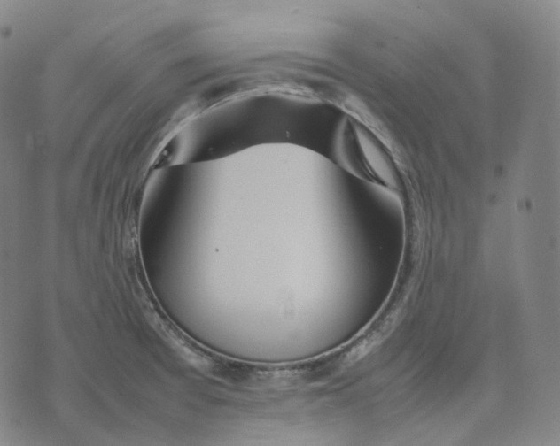 X0000074231377200609151635