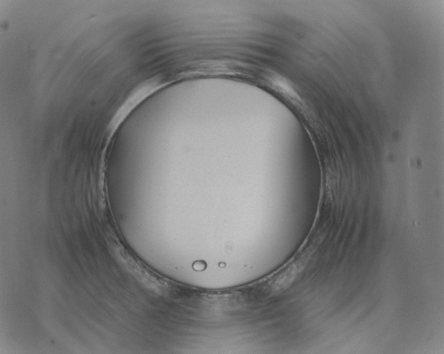 X0000074231378200609151635