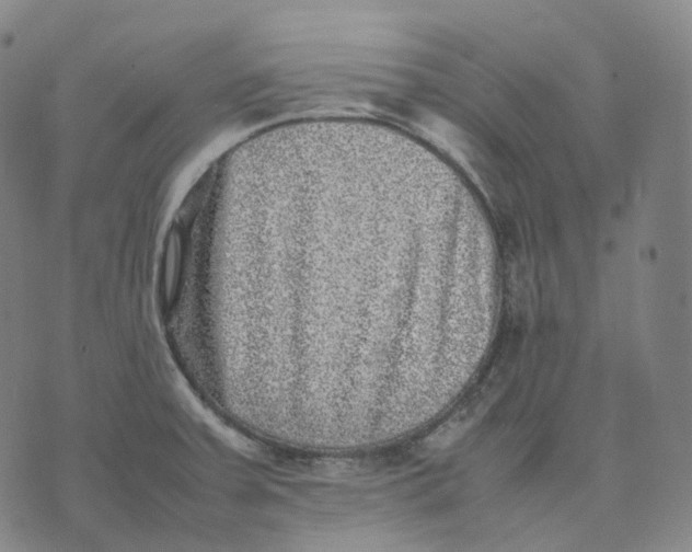 X0000074231379200609151635