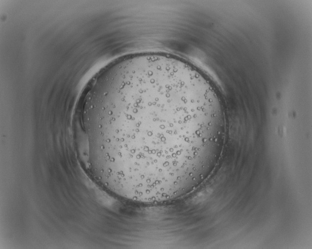 X0000074231380200609151635