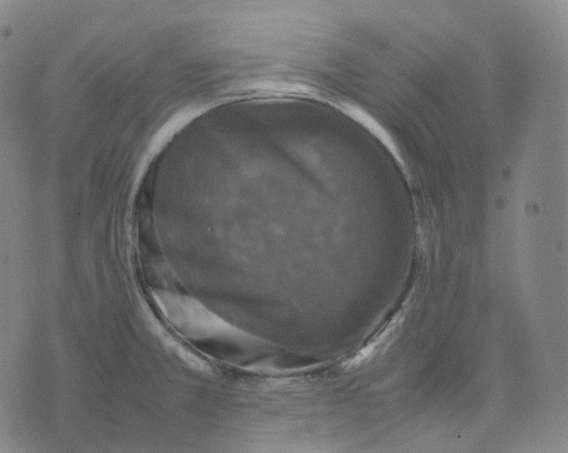 X0000074231381200609151635