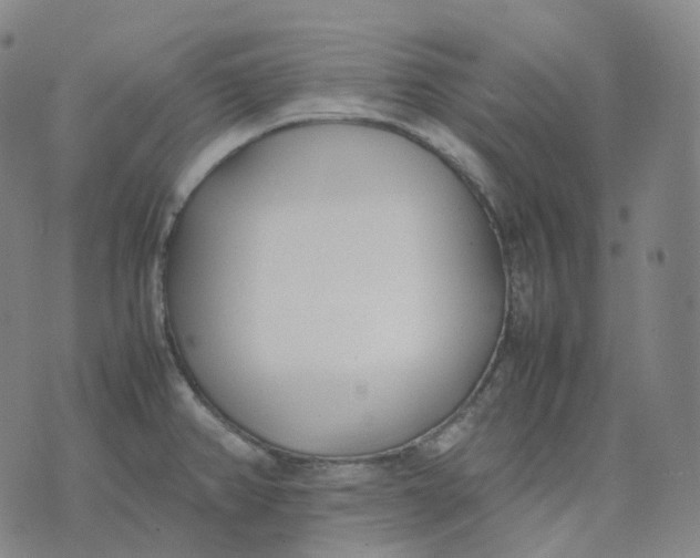 X0000074231382200609151635