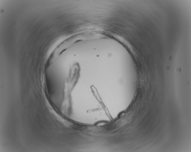 X0000074231383200609151635