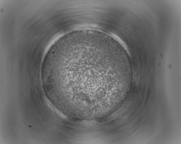 X0000074231384200609151635