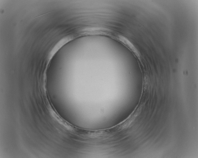 X0000074231386200609151635