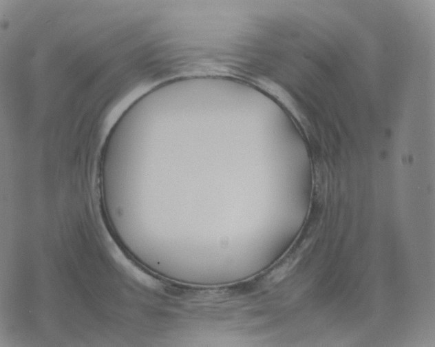 X0000074231387200609151635