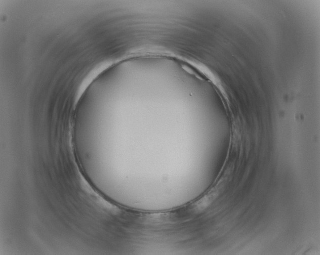 X0000074231390200609151635