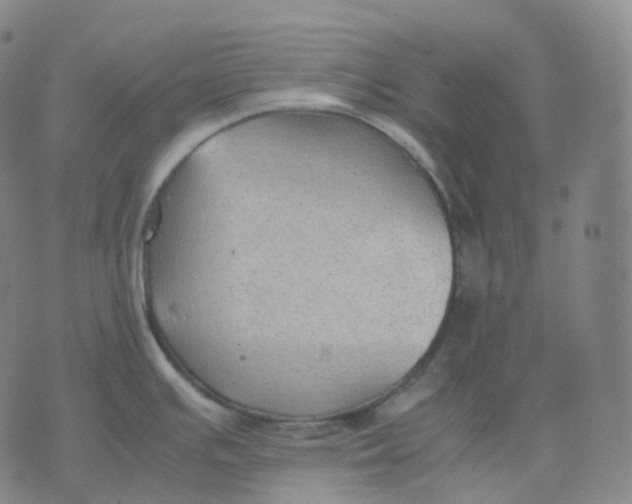 X0000074231391200609151635