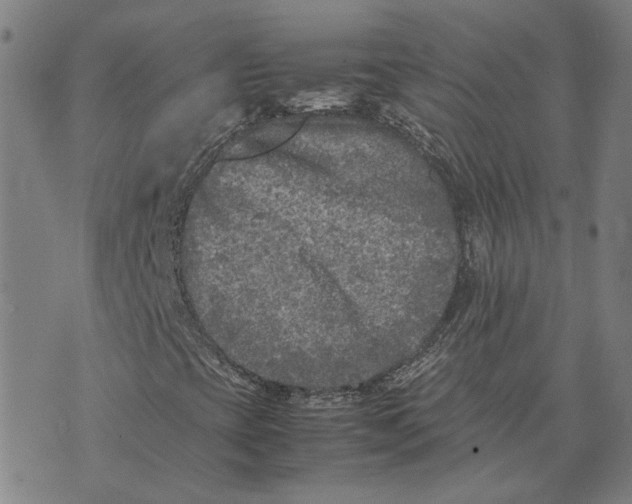 X0000074231393200609151634