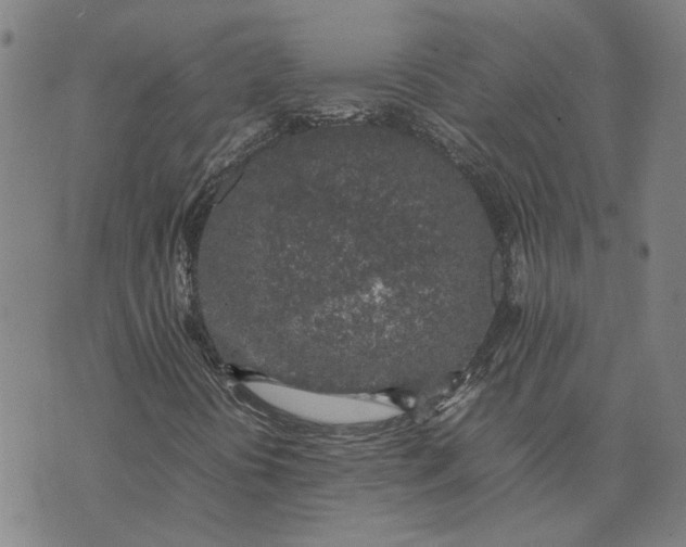 X0000074231394200609151634