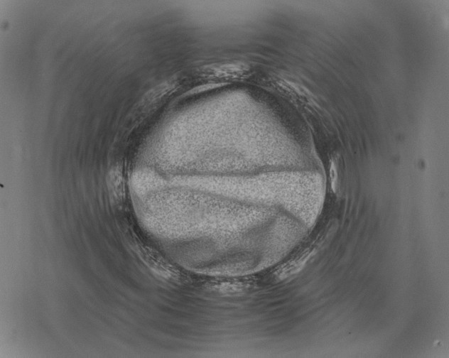 X0000074231395200609151634