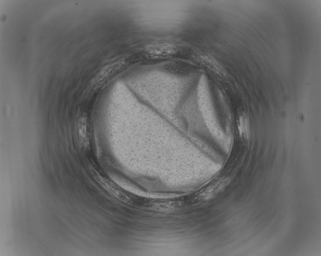 X0000074231396200609151634