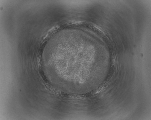 X0000074231397200609151634