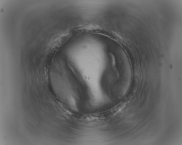 X0000074231398200609151634