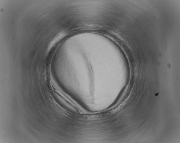 X0000074231402200609151634