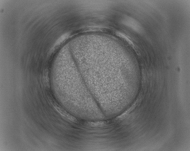 X0000074231403200609151634