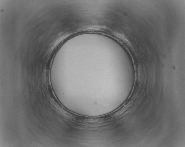 X0000074231404200609151635