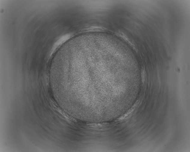 X0000074231405200609151635