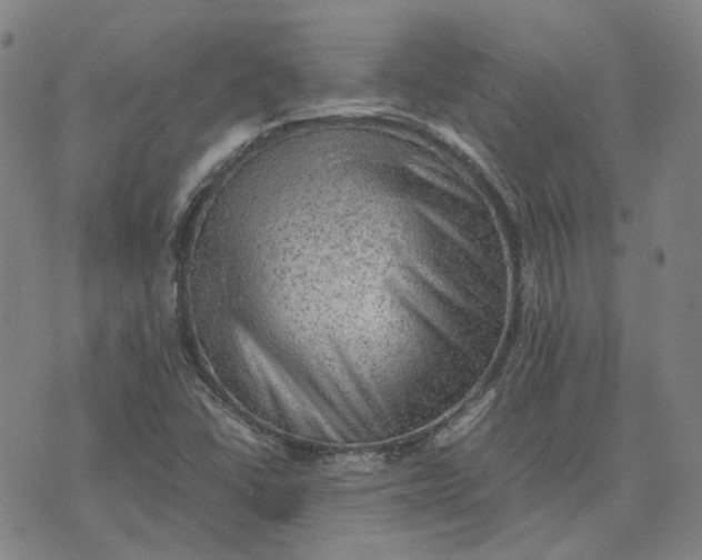 X0000074231406200609151635