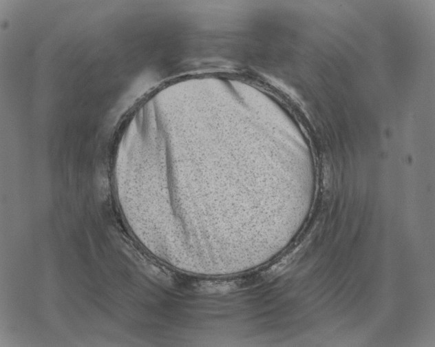 X0000074231407200609151635