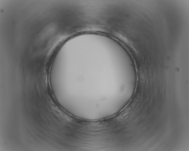 X0000074231408200609151635