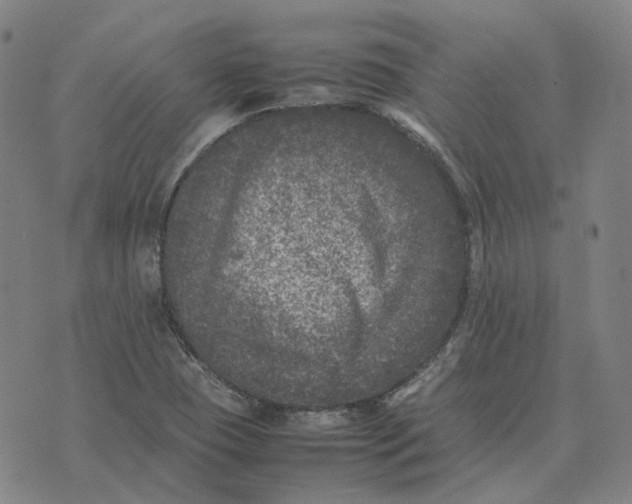 X0000074231409200609151635