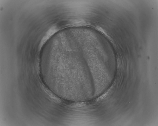 X0000074231410200609151635