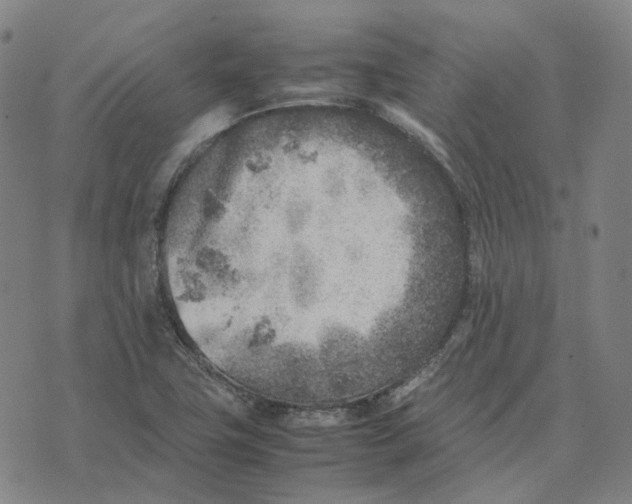 X0000074231411200609151635