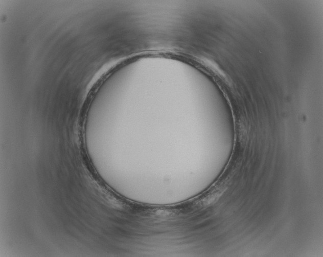 X0000074231412200609151635