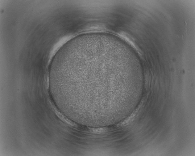 X0000074231413200609151635