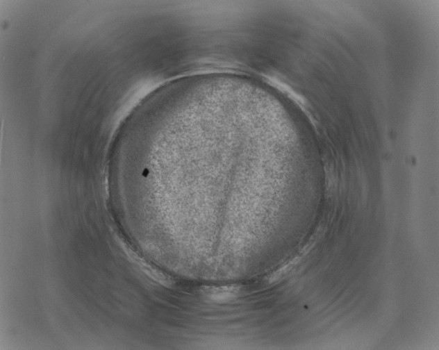 X0000074231415200609151635