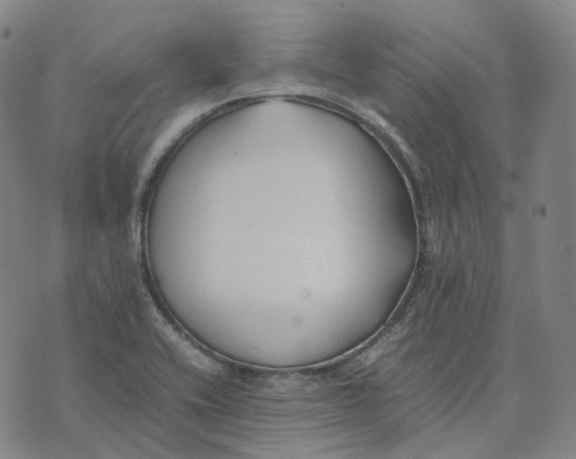 X0000074231416200609151635