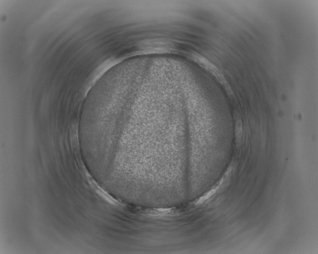 X0000074231417200609151635