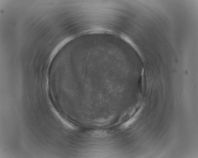 X0000074231418200609151635