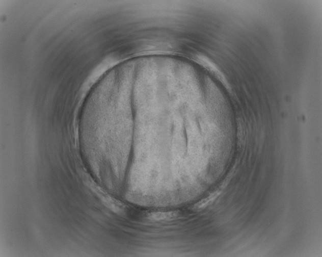 X0000074231419200609151635