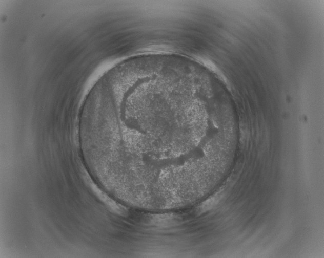 X0000074231421200609151635