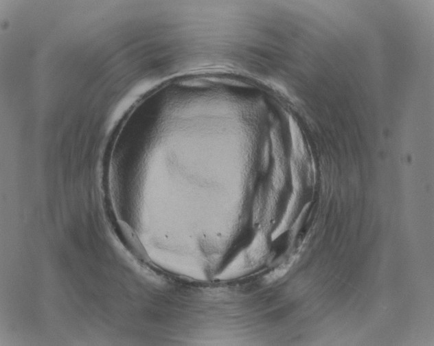 X0000074231422200609151635