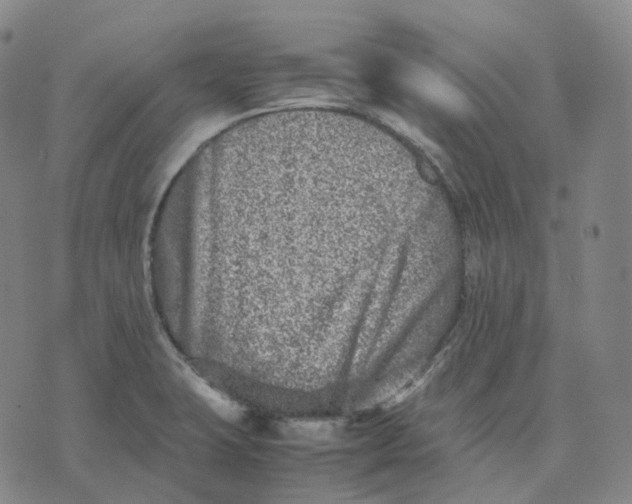 X0000074231423200609151635