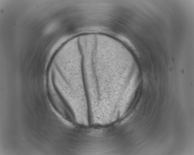 X0000074231424200609151635