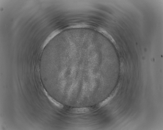 X0000074231425200609151635